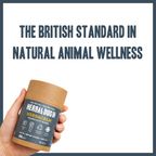 Inner Calm Support for dogs – natural calming & stress relief herbal powder | Herbal Dog Co