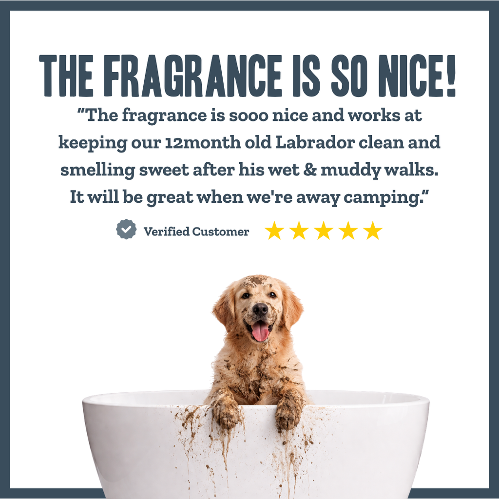 Baby Powder | Botanical Instant Freshening Dry Shampoo