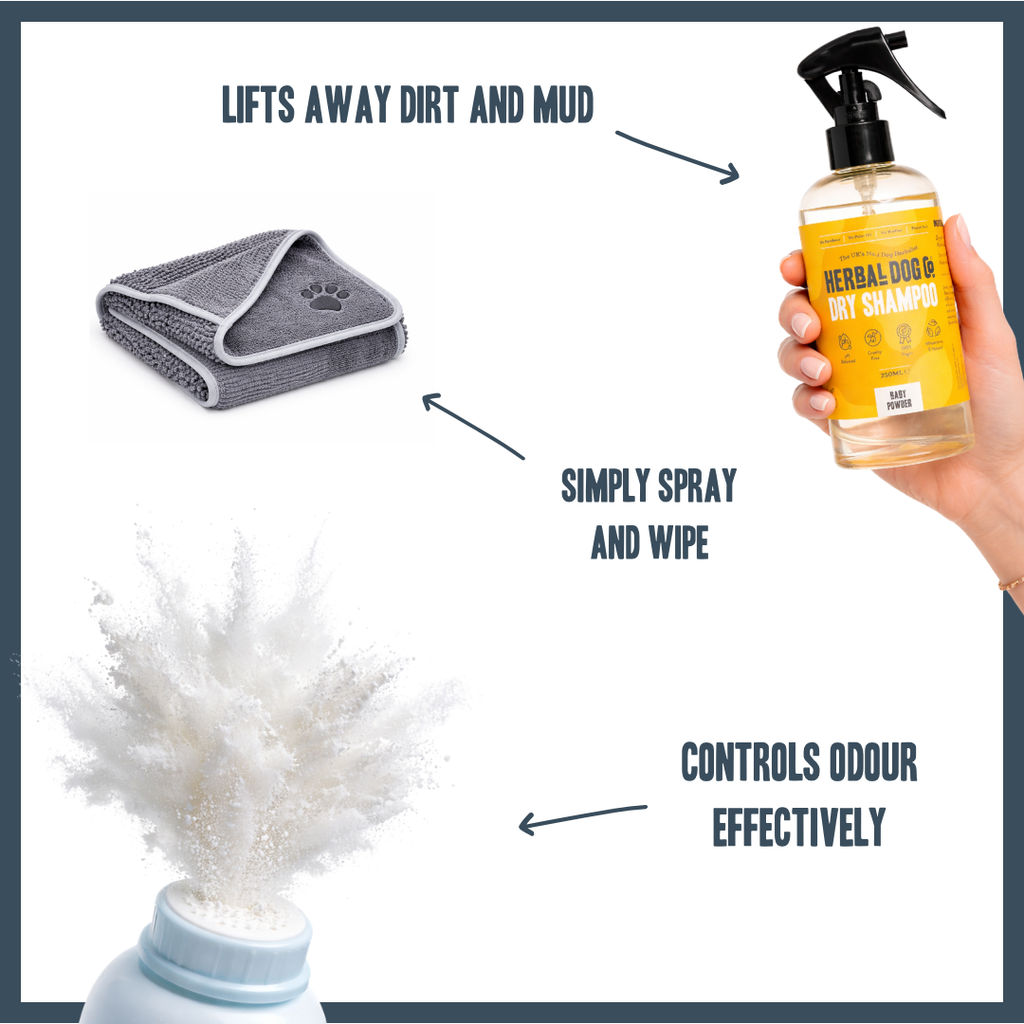 Baby Powder | Botanical Instant Freshening Dry Shampoo