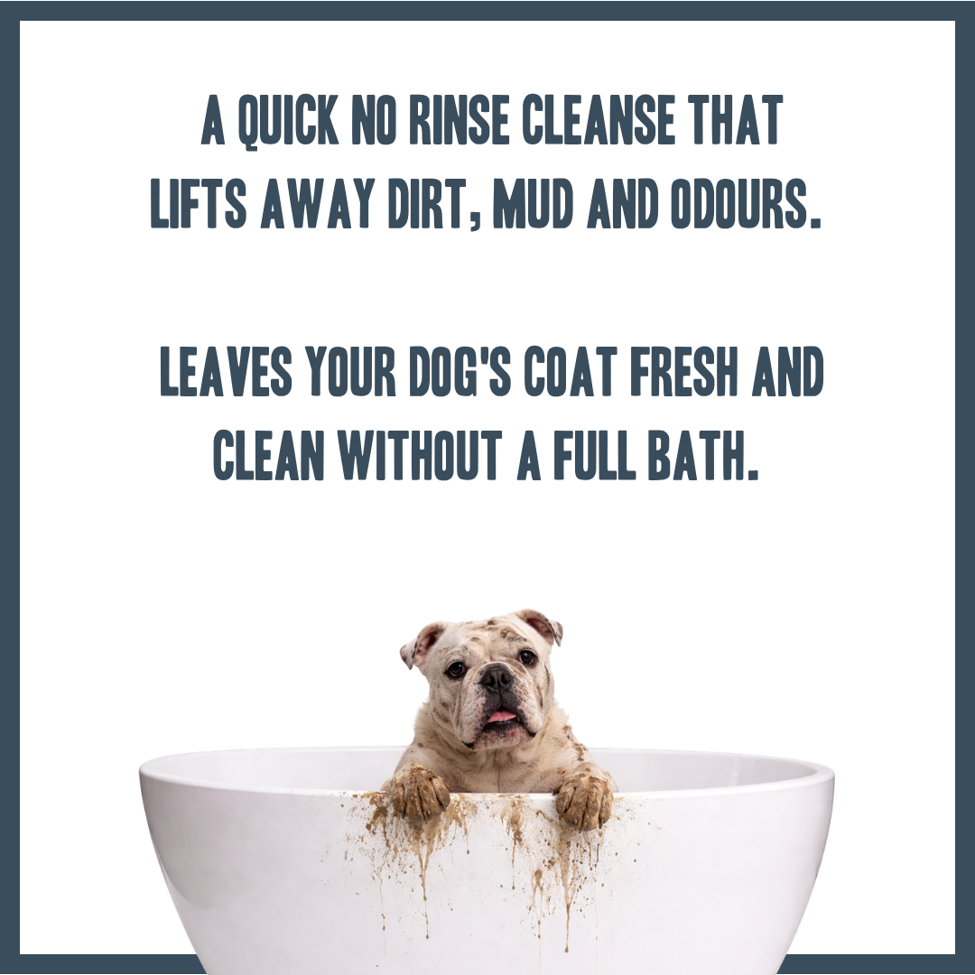 Baby Powder | Botanical Instant Freshening Dry Shampoo