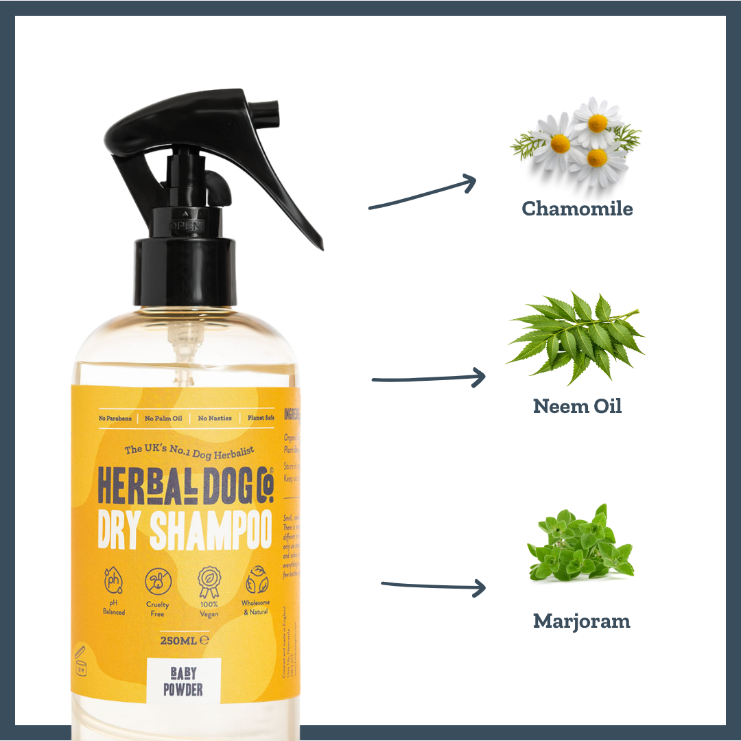 Baby Powder | Botanical Instant Freshening Dry Shampoo