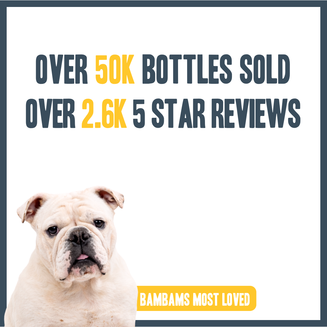 Raspberry & Vanilla Dry Shampoo for dogs – instant botanical waterless freshening | Herbal Dog Co