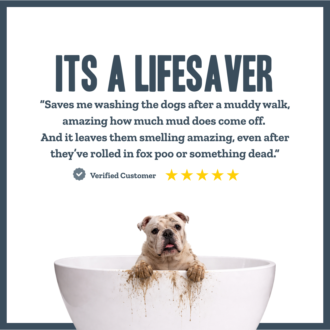 Orange & Bergamot Dry Shampoo for dogs – natural instant botanical freshening | Herbal Dog Co
