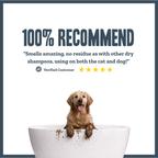 Raspberry & Vanilla Dry Shampoo for dogs – instant botanical waterless freshening | Herbal Dog Co