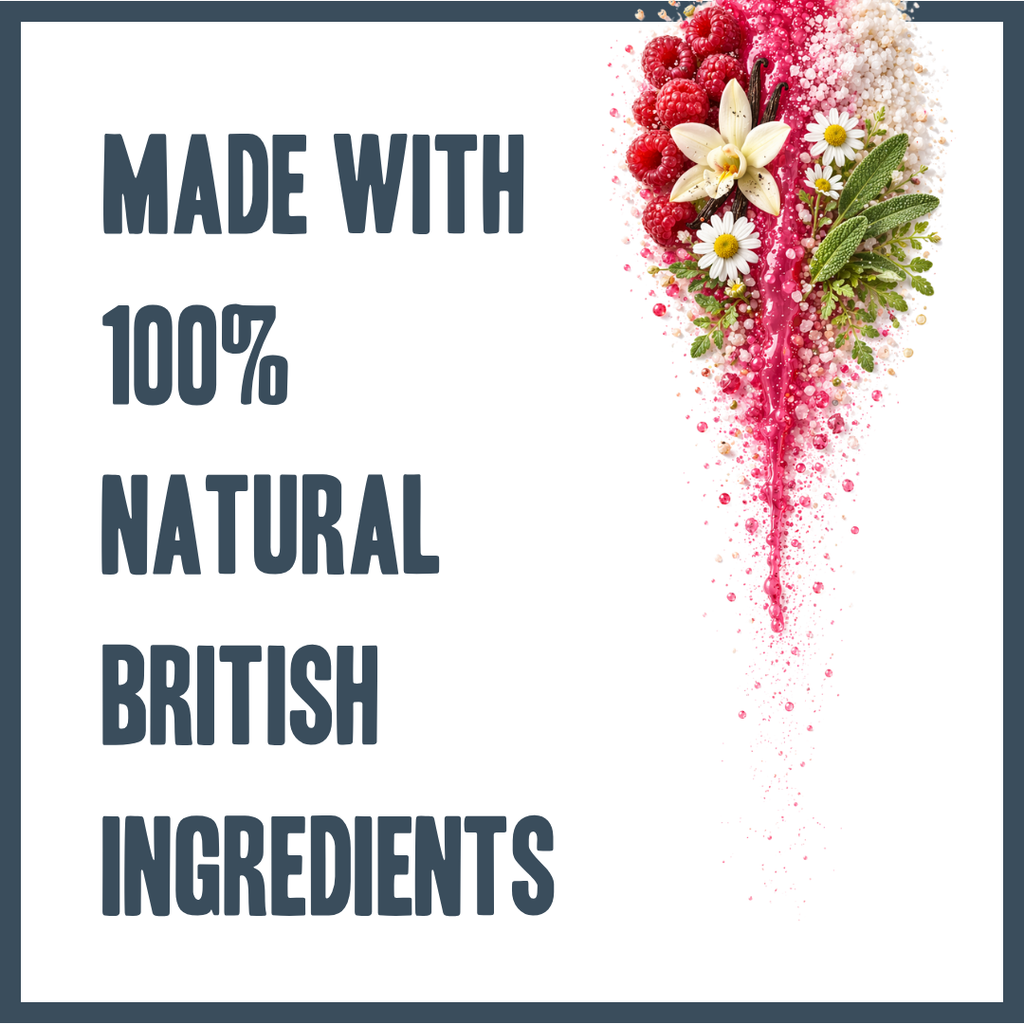 Raspberry & Vanilla Dry Shampoo for dogs – instant botanical waterless freshening | Herbal Dog Co