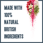Raspberry & Vanilla Dry Shampoo for dogs – instant botanical waterless freshening | Herbal Dog Co