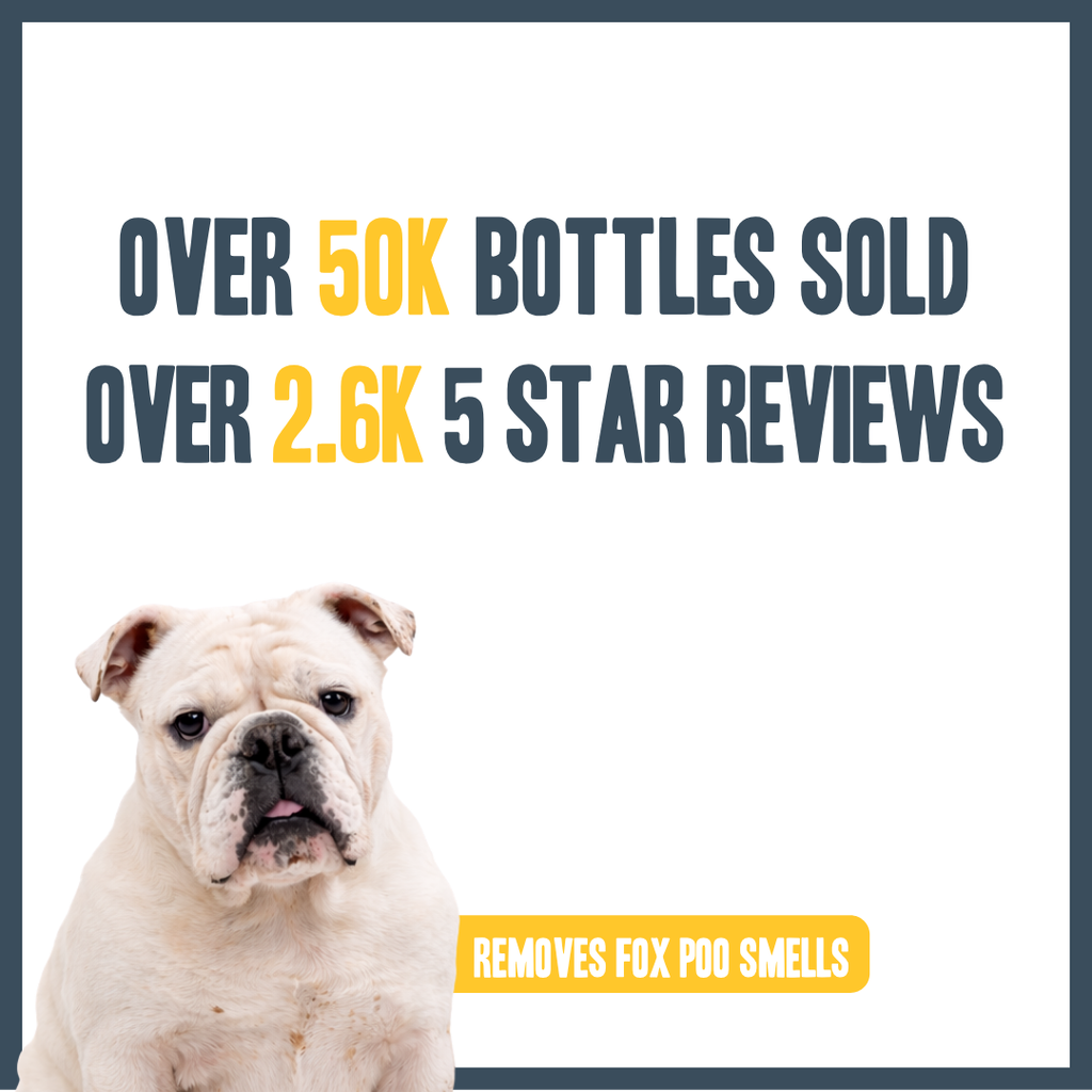 Orange & Bergamot Dry Shampoo for dogs – natural instant botanical freshening | Herbal Dog Co