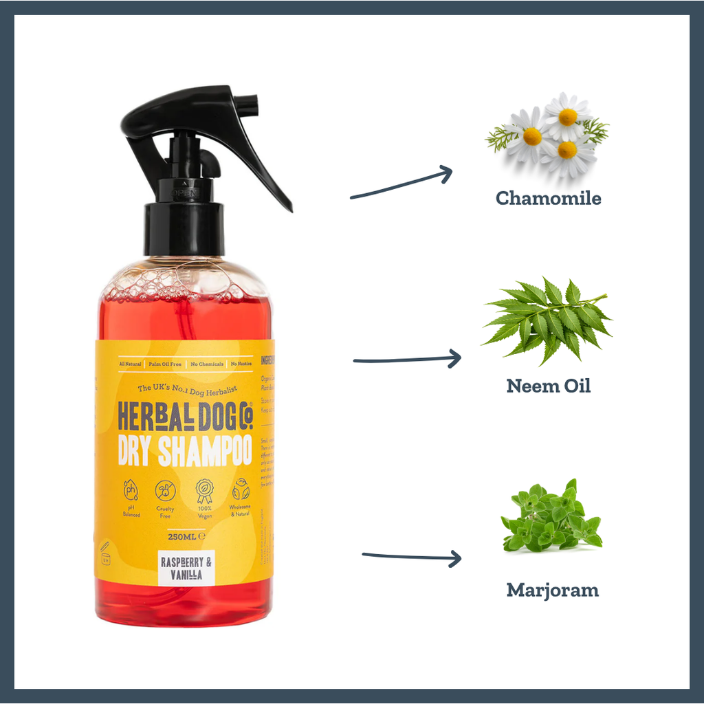 Raspberry & Vanilla Dry Shampoo for dogs – instant botanical waterless freshening | Herbal Dog Co
