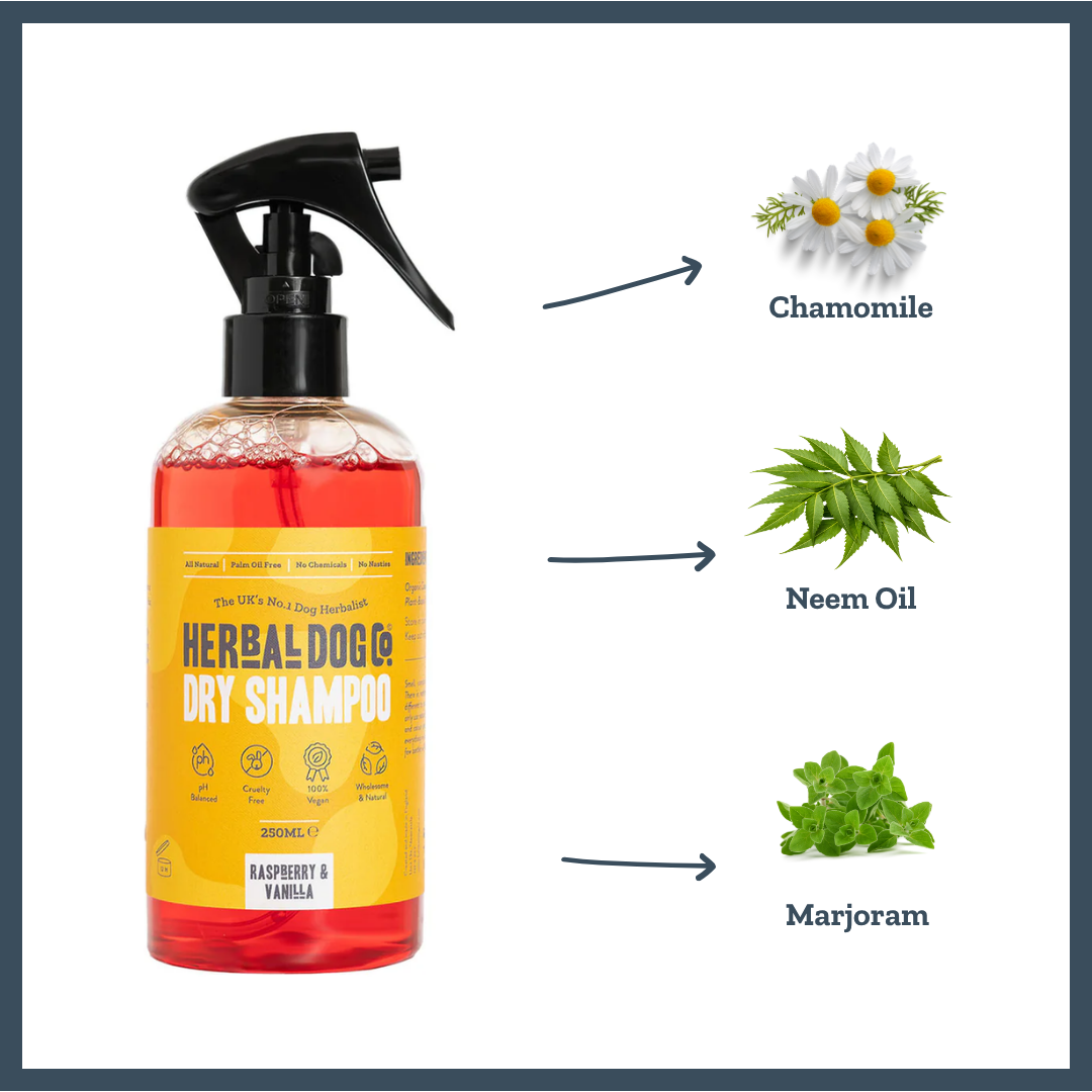 Raspberry & Vanilla Dry Shampoo for dogs – instant botanical waterless freshening | Herbal Dog Co