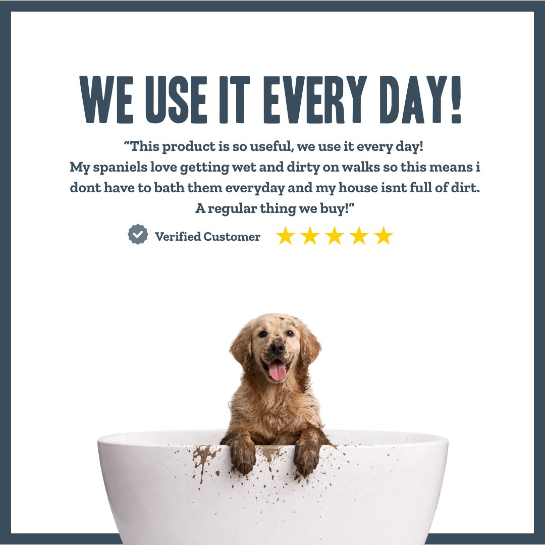 Coconut Dry Shampoo for dogs – instant botanical waterless freshening | Herbal Dog Co