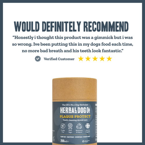 Dental Hygiene Powder for dogs – natural plaque & tartar control supplement | Herbal Dog Co