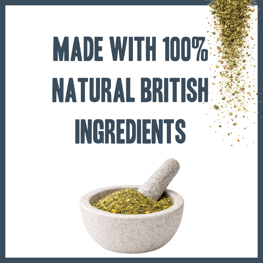 Dental Hygiene Powder