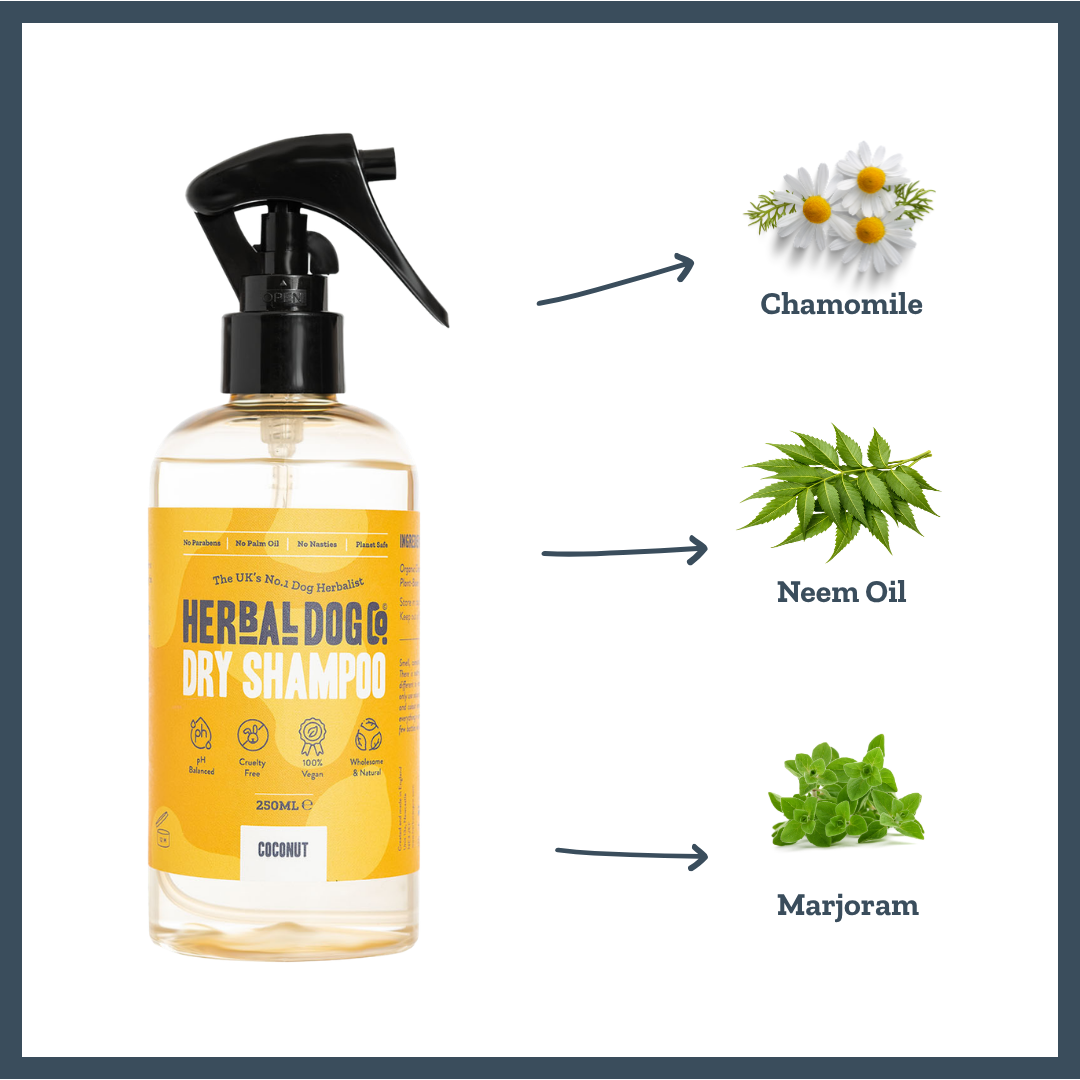 Coconut Dry Shampoo for dogs – instant botanical waterless freshening | Herbal Dog Co