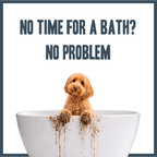 Raspberry & Vanilla Dry Shampoo for dogs – instant botanical waterless freshening | Herbal Dog Co