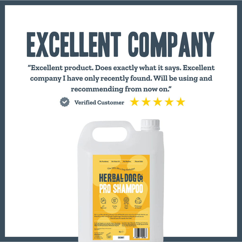 Coconut PRO Shampoo for dogs – professional coconut botanical grooming wash | Herbal Dog Co