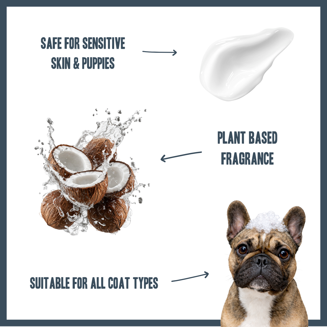 Coconut PRO Shampoo for dogs – professional coconut botanical grooming wash | Herbal Dog Co