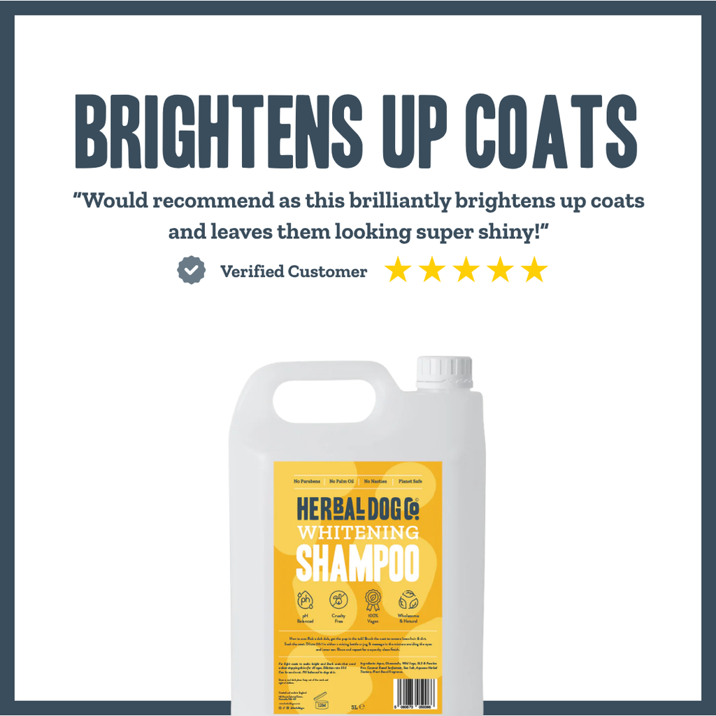 Whitening & Brightening PRO Shampoo for dogs – professional coat brightening & whitening wash | Herbal Dog Co
