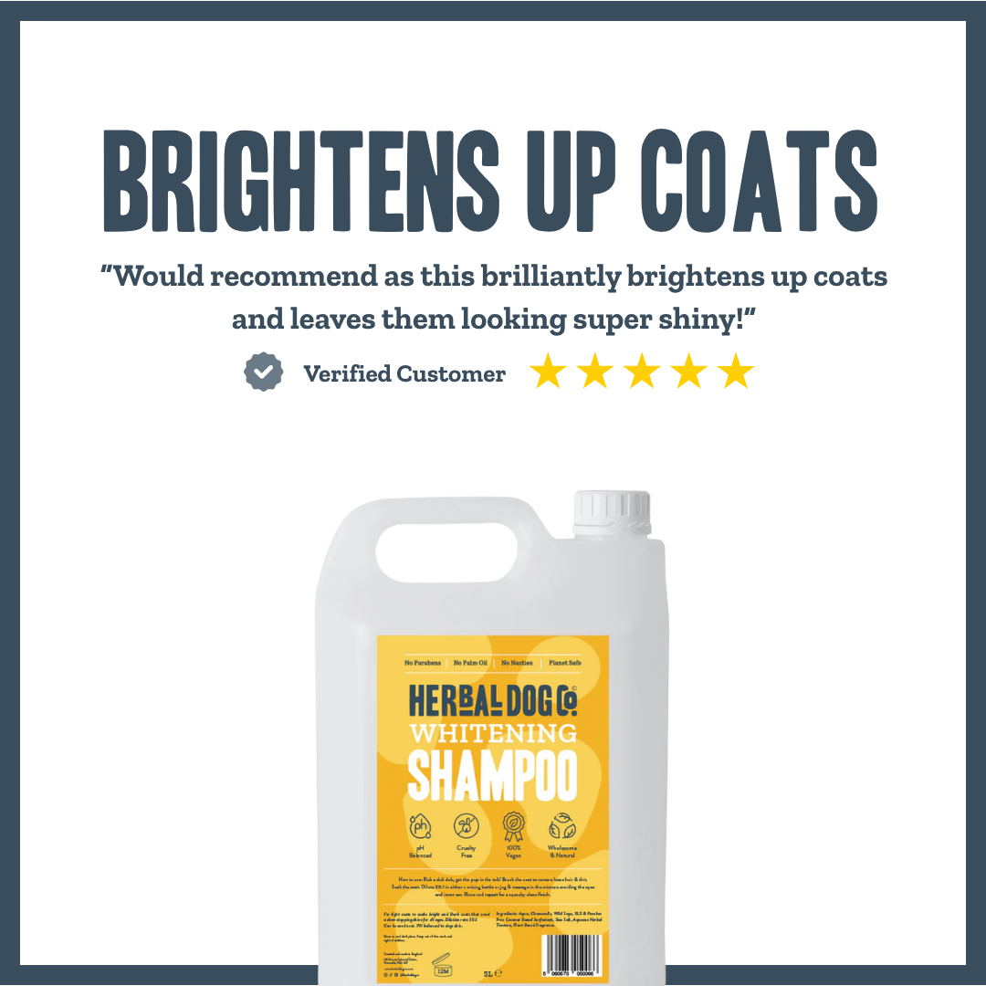 Whitening & Brightening PRO Shampoo for dogs – professional coat brightening & whitening wash | Herbal Dog Co