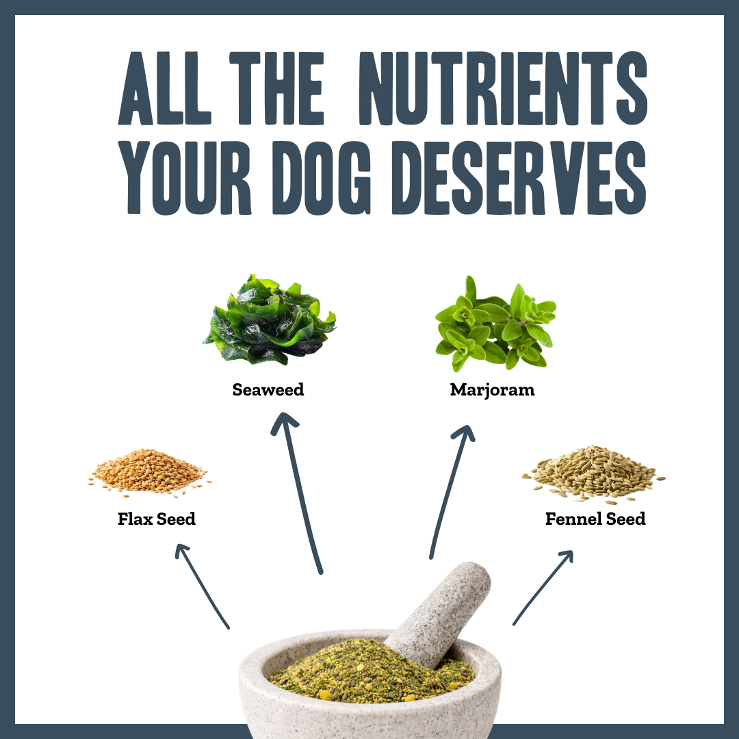 Dental Hygiene Powder