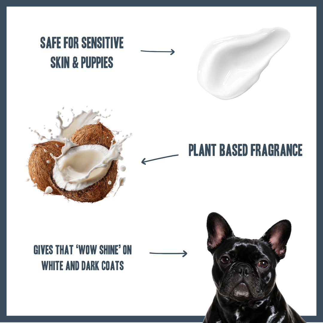 Whitening & Brightening PRO Shampoo for dogs – professional coat brightening & whitening wash | Herbal Dog Co