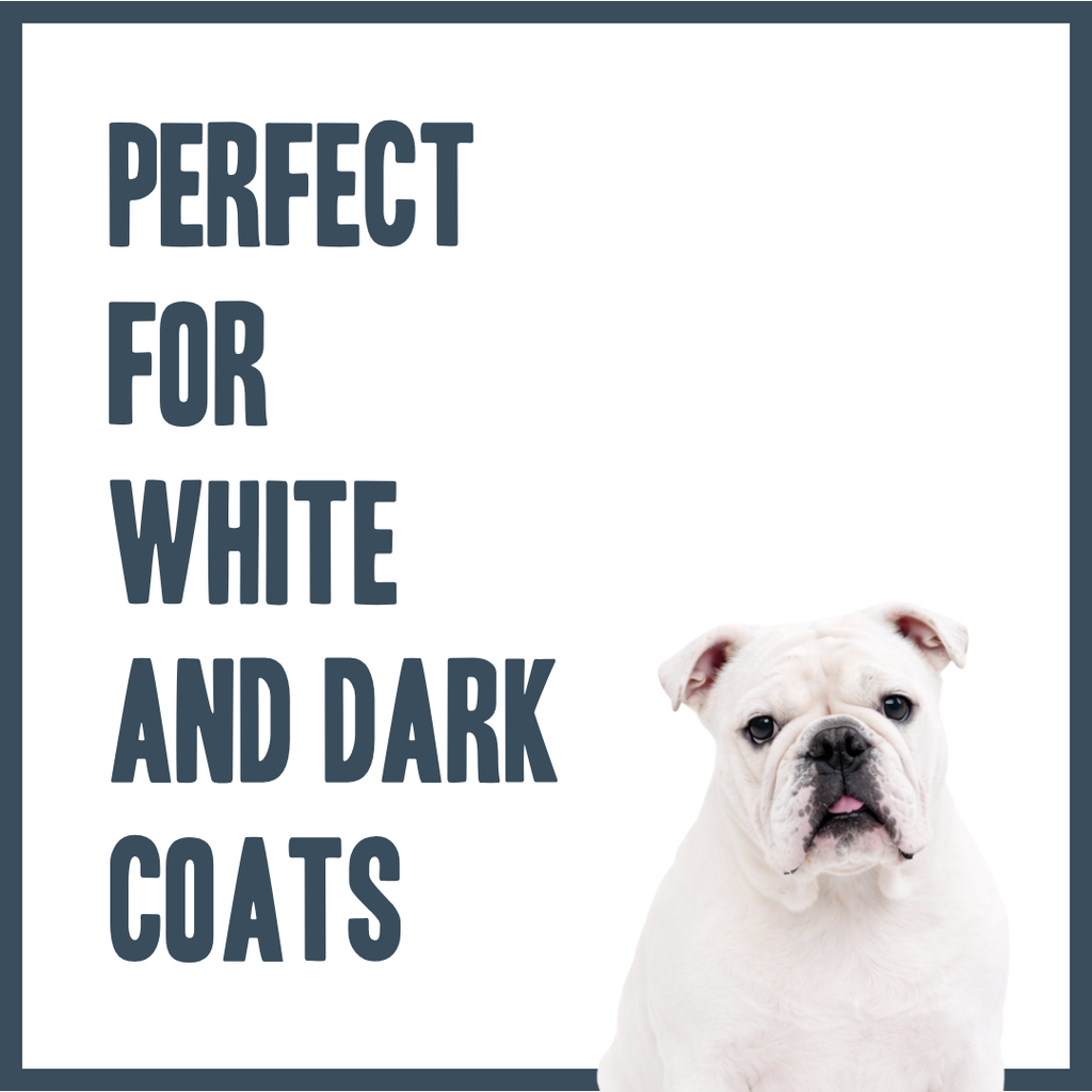 Whitening & Brightening PRO Shampoo for dogs – professional coat brightening & whitening wash | Herbal Dog Co