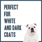 Whitening & Brightening PRO Shampoo for dogs – professional coat brightening & whitening wash | Herbal Dog Co