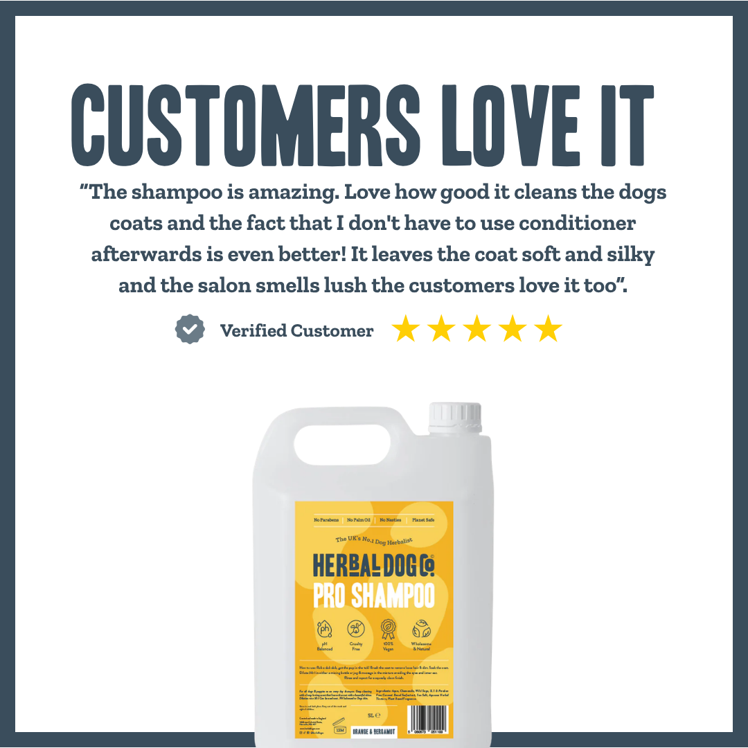 Orange & Bergamot PRO Shampoo for dogs – professional citrus botanical grooming wash | Herbal Dog Co