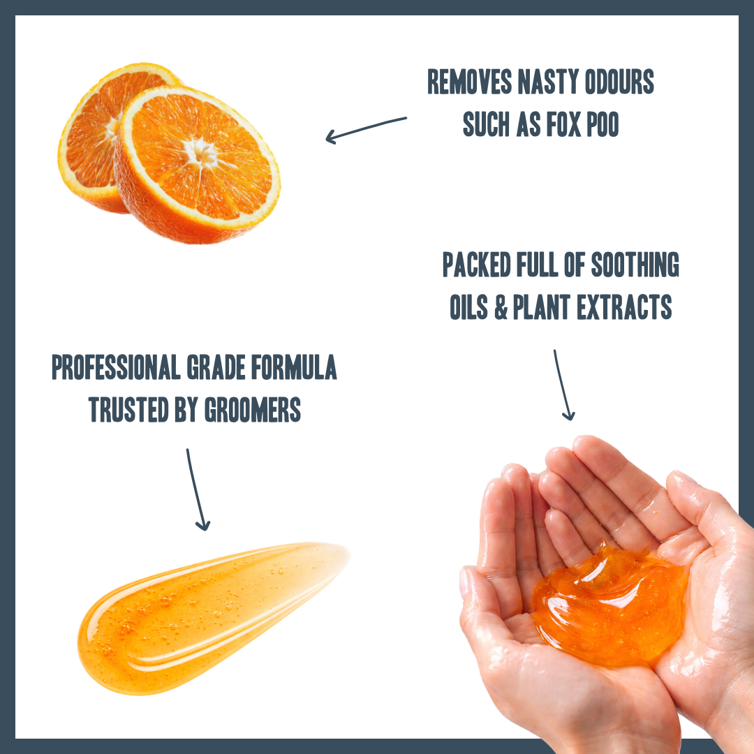 Orange & Bergamot PRO Shampoo for dogs – professional citrus botanical grooming wash | Herbal Dog Co