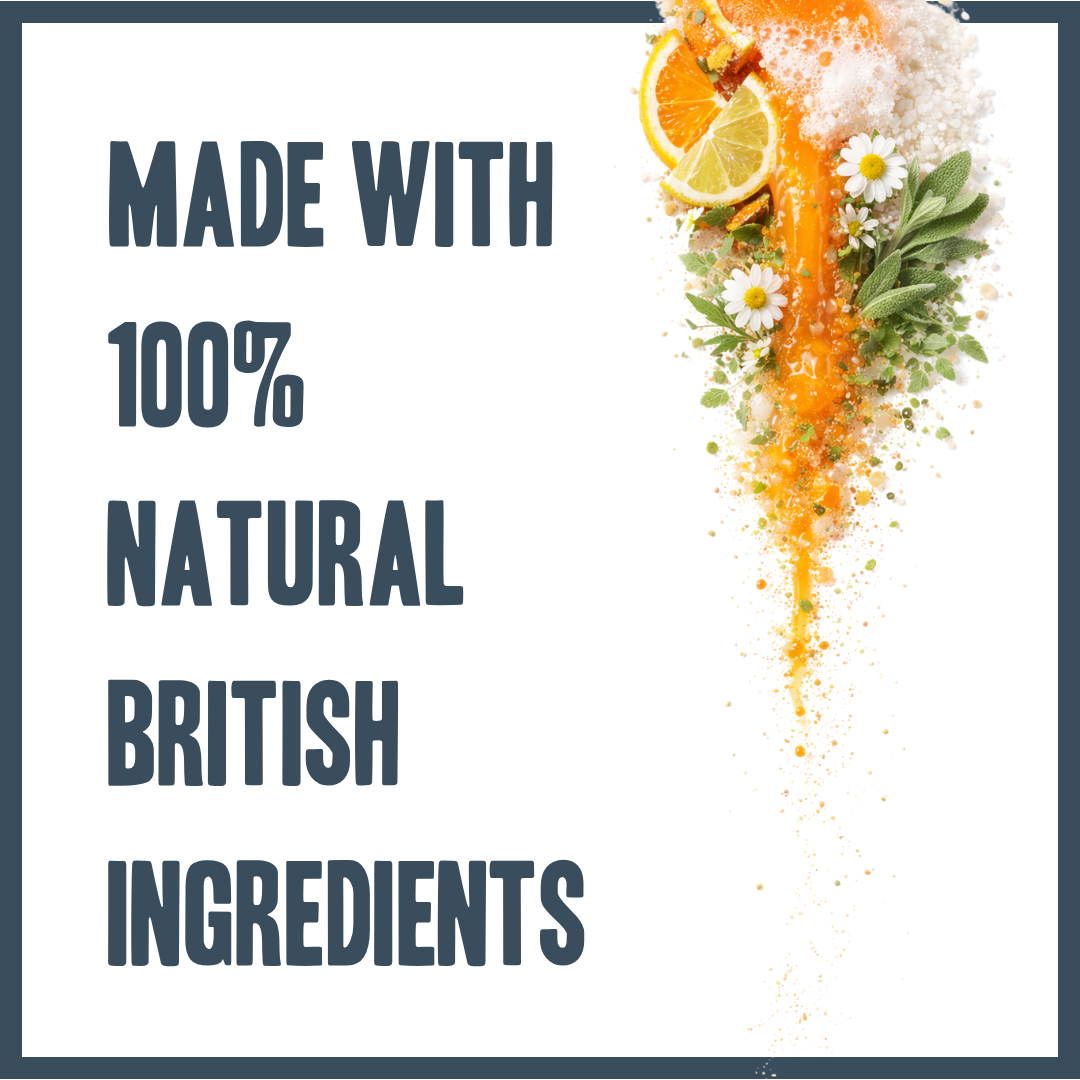 Orange & Bergamot PRO Shampoo for dogs – professional citrus botanical grooming wash | Herbal Dog Co