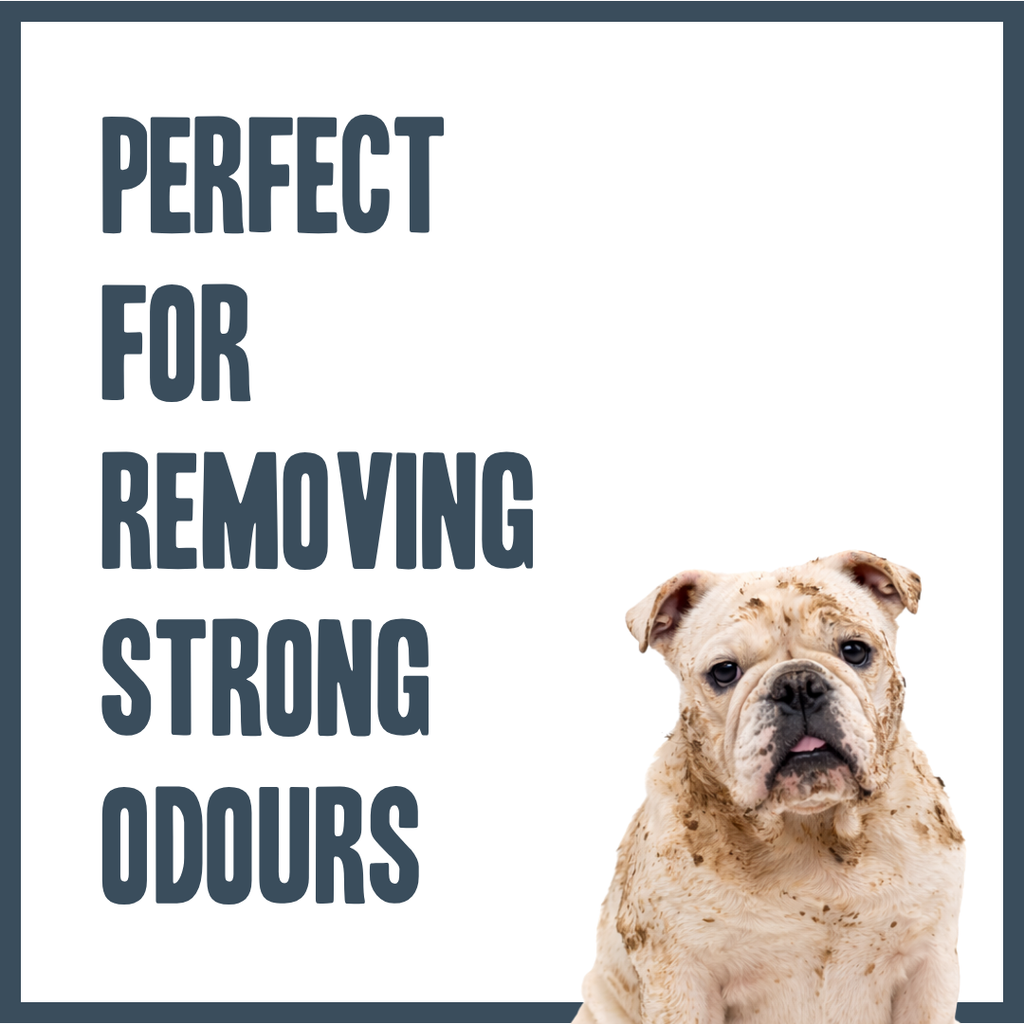 Orange & Bergamot PRO Shampoo for dogs – professional citrus botanical grooming wash | Herbal Dog Co