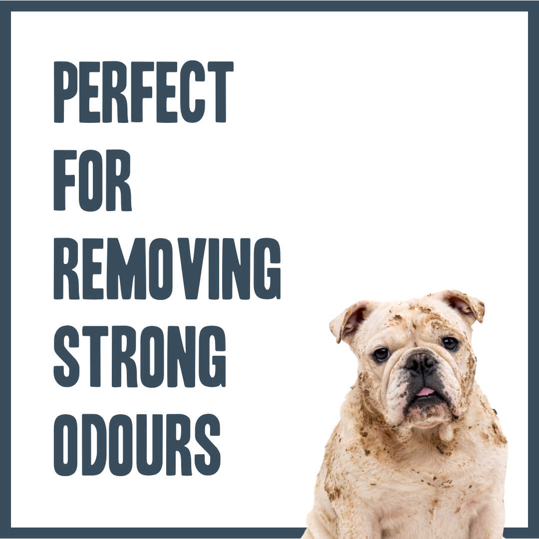 Orange & Bergamot PRO Shampoo for dogs – professional citrus botanical grooming wash | Herbal Dog Co