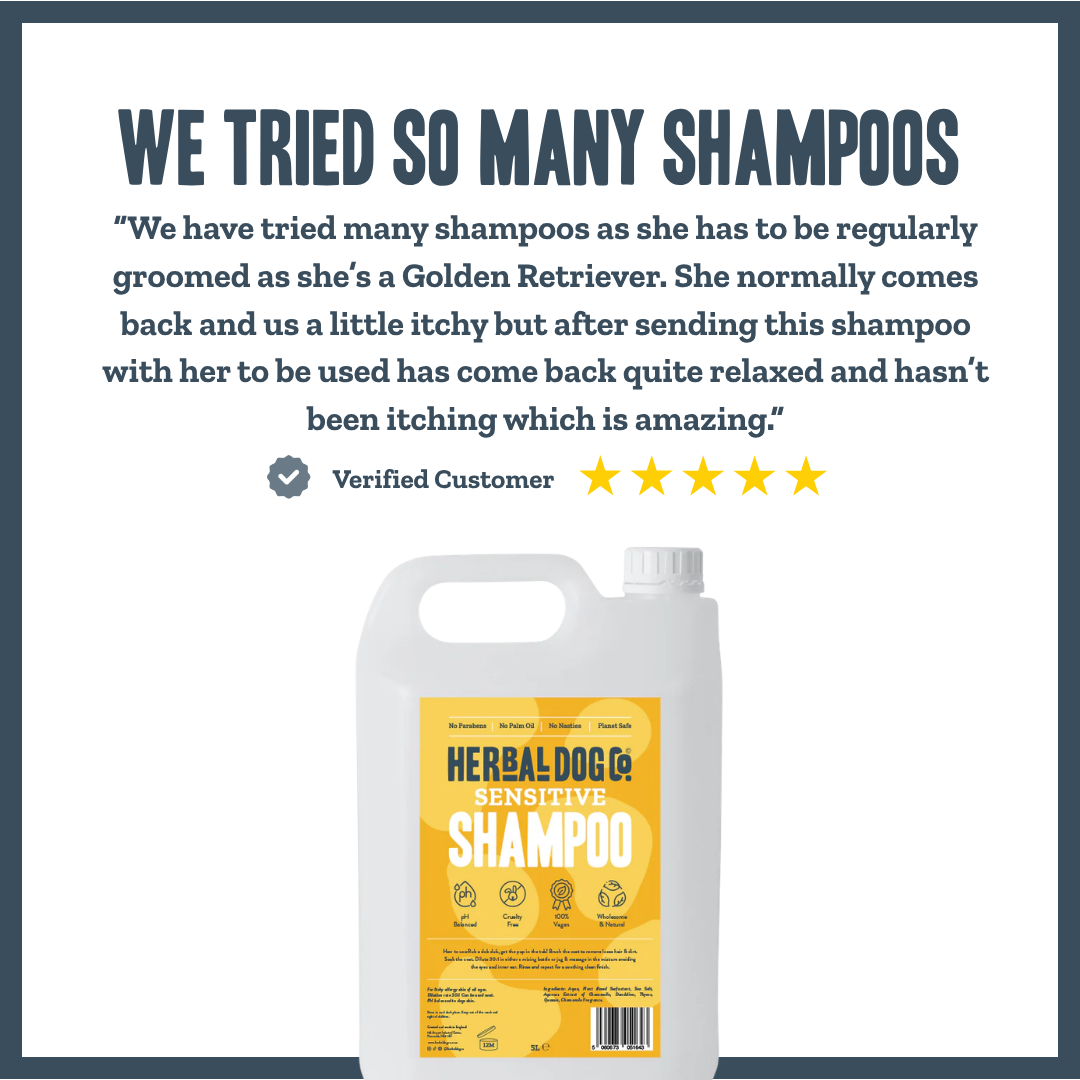 Sensitive PRO Shampoo for dogs – professional gentle sensitive skin wash | Herbal Dog Co