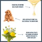Sensitive PRO Shampoo for dogs – professional gentle sensitive skin wash | Herbal Dog Co