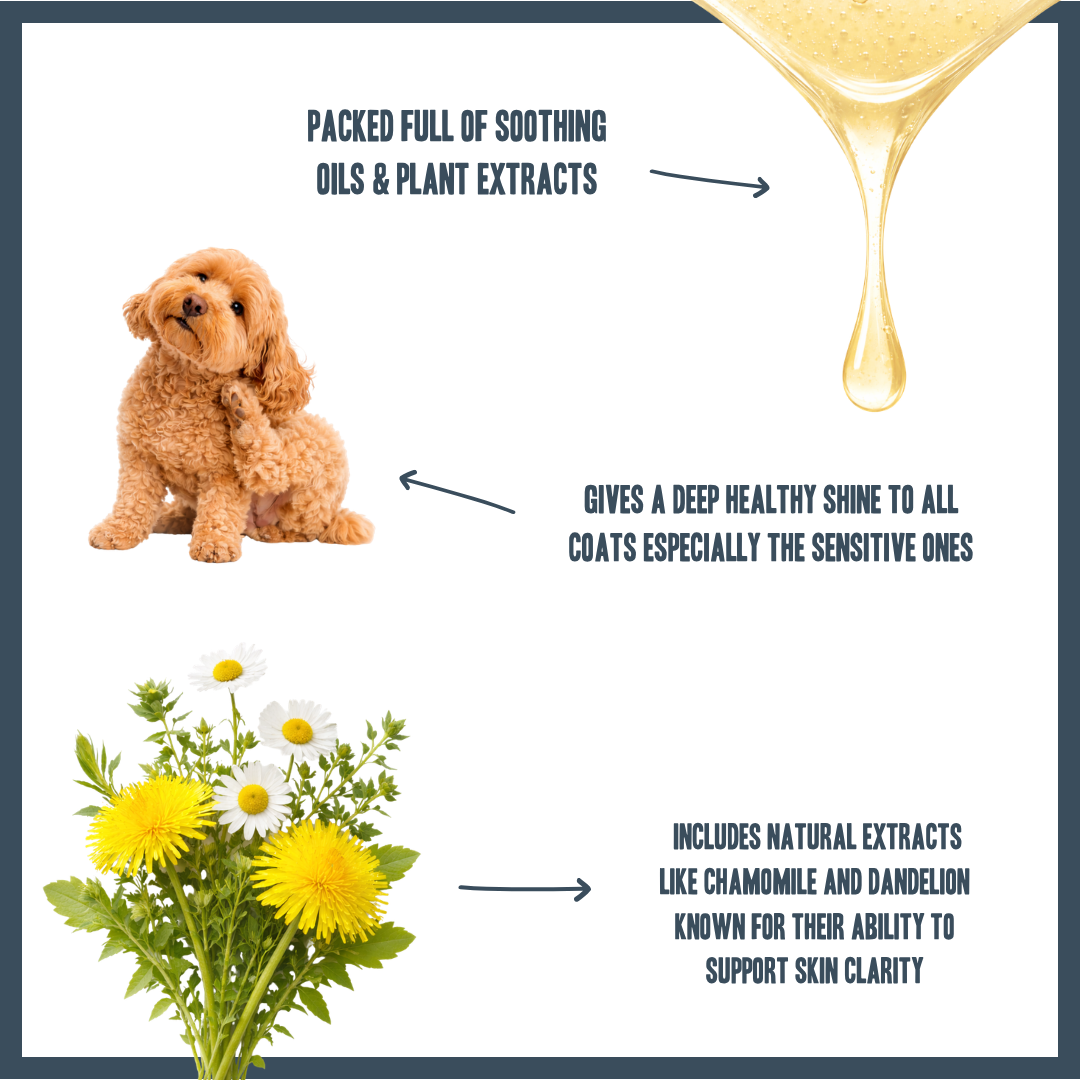 Sensitive PRO Shampoo for dogs – professional gentle sensitive skin wash | Herbal Dog Co