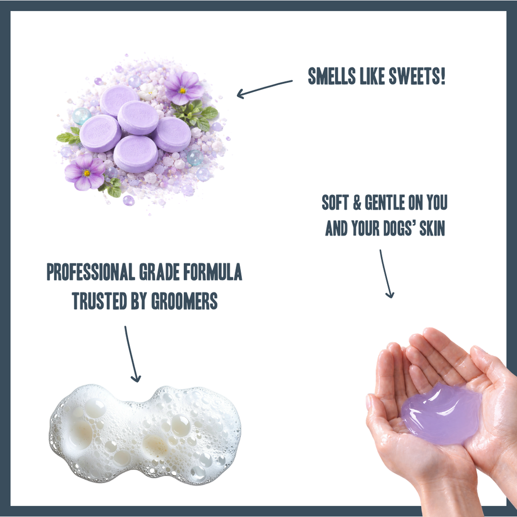 Parma Violet PRO Shampoo for dogs – professional floral-scented grooming shampoo | Herbal Dog Co