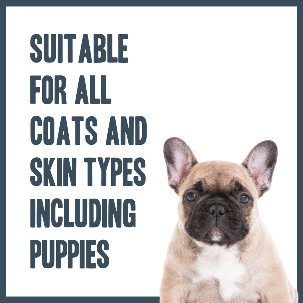 Parma Violet PRO Shampoo for dogs – professional floral-scented grooming shampoo | Herbal Dog Co