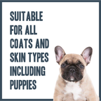 Parma Violet PRO Shampoo for dogs – professional floral-scented grooming shampoo | Herbal Dog Co