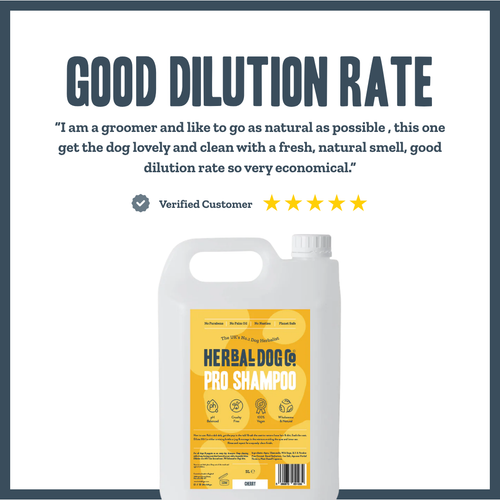 Cherry Drop PRO Shampoo for dogs – limited edition professional botanical wash | Herbal Dog Co