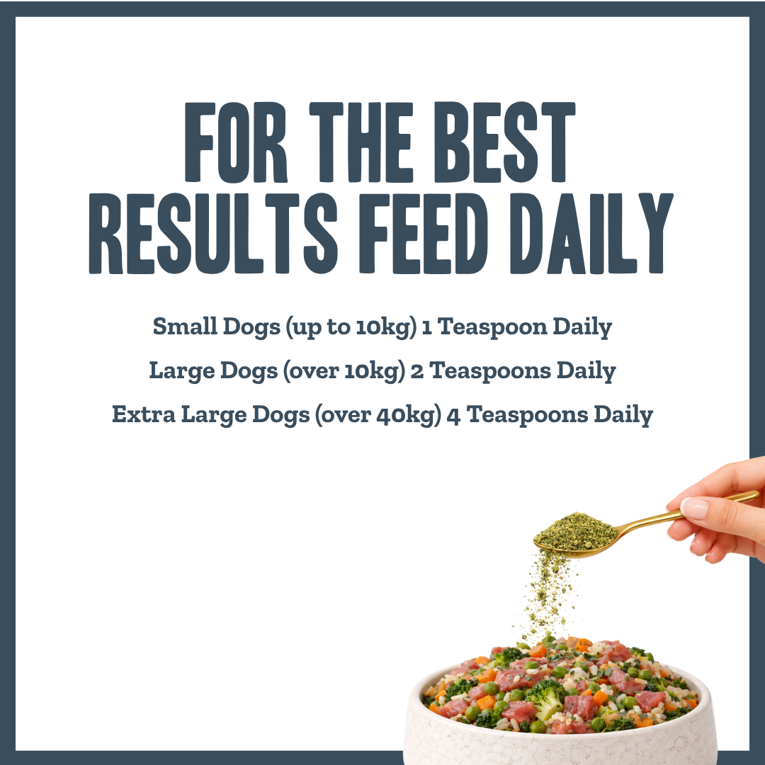 Dental Hygiene Powder