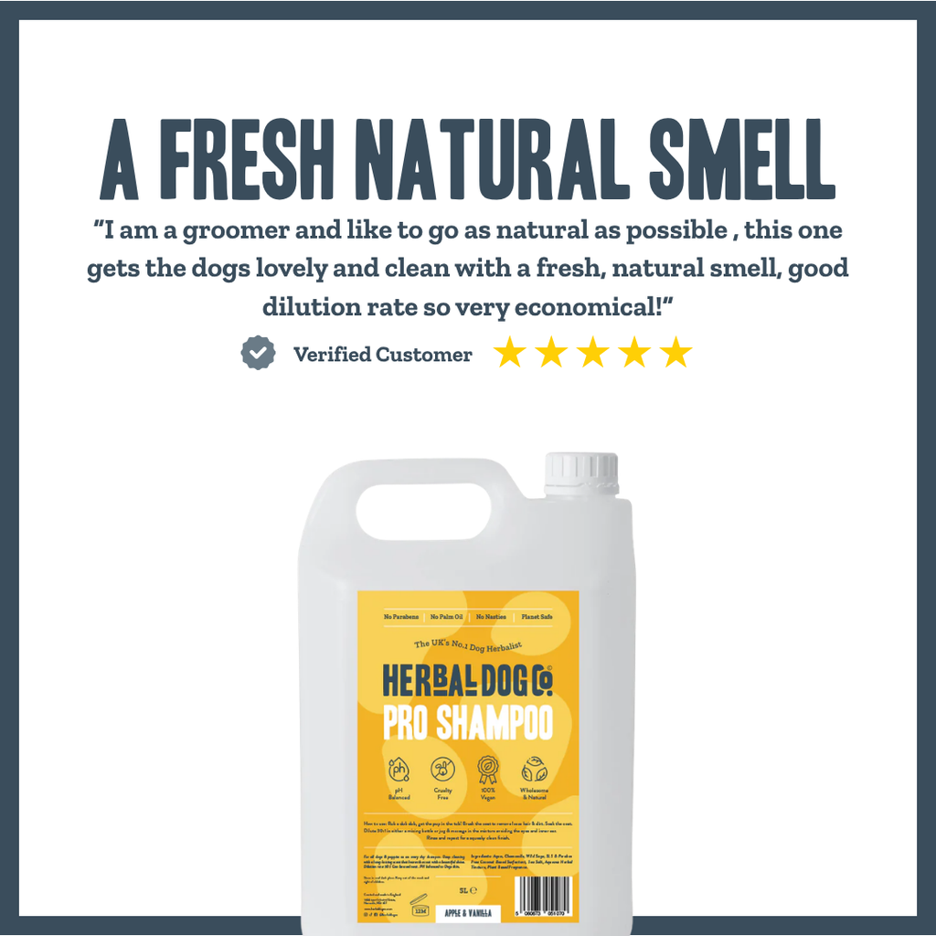 Apple & Vanilla PRO Shampoo for dogs – professional fresh-scented botanical dog shampoo | Herbal Dog Co