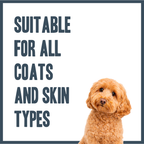 Apple & Vanilla PRO Shampoo for dogs – professional fresh-scented botanical dog shampoo | Herbal Dog Co