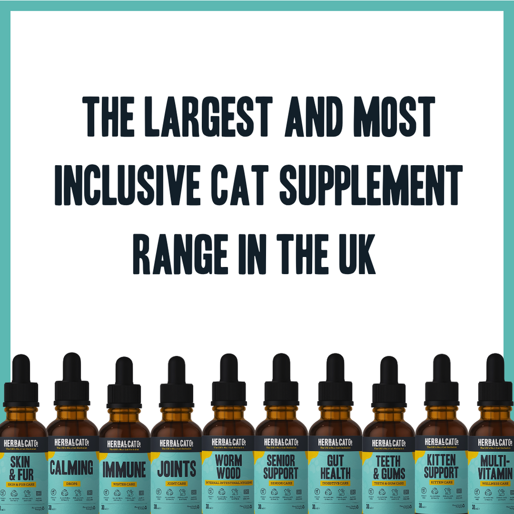 Cat Multivitamin Wellness Care Drops – complete natural daily vitamins for cats | Herbal Dog Co