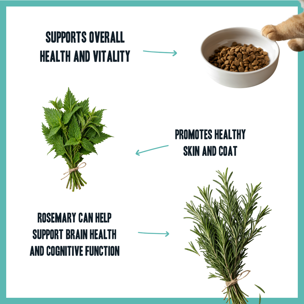 Cat Multivitamin Wellness Care Drops – complete natural daily vitamins for cats | Herbal Dog Co