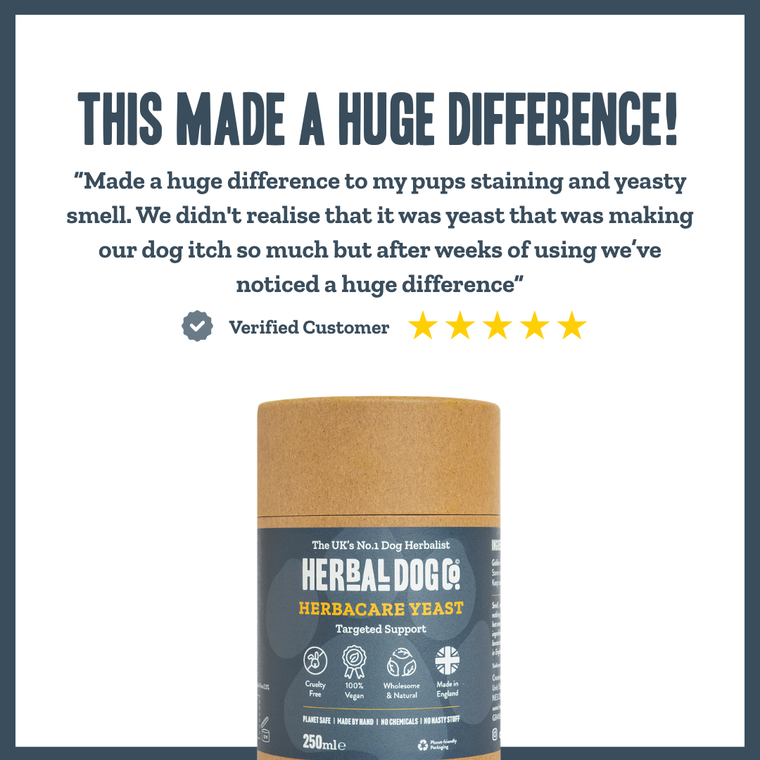 Yeast Dermal Balance Support for dogs – natural yeast overgrowth & skin balance remedy | Herbal Dog Co
