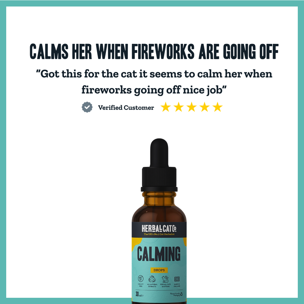 Cat Calming Drops – natural valerian & chamomile calming supplement for cats | Herbal Dog Co