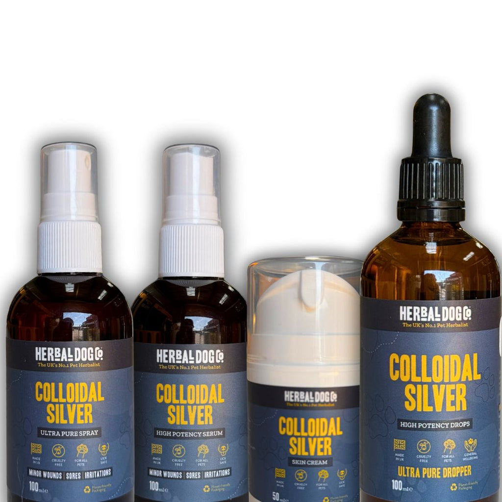 Colloidal Silver Dermal Cream for dogs – natural healing skin barrier cream | Herbal Dog Co