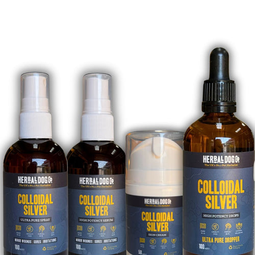 Colloidal Silver Skin Spray for dogs – natural antimicrobial healing skin spray | Herbal Dog Co