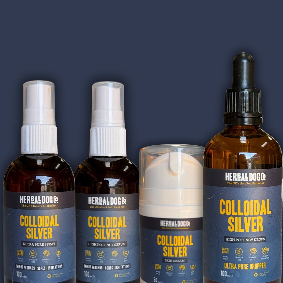 Colloidal Silver Dermal Cream