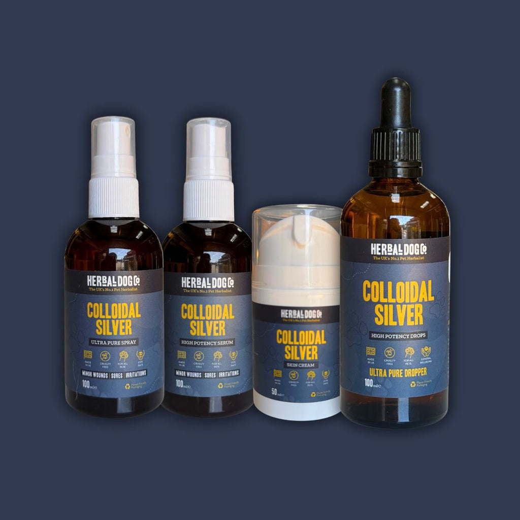 Colloidal Silver Skin Serum for dogs – high-potency natural skin healing serum | Herbal Dog Co
