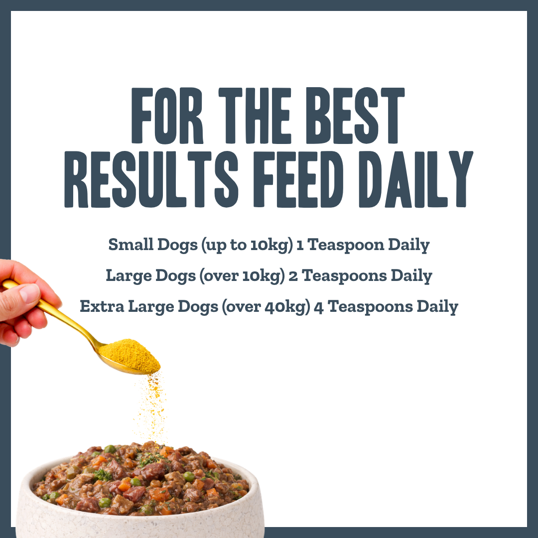 Yeast Dermal Balance Support for dogs – natural yeast overgrowth & skin balance remedy | Herbal Dog Co